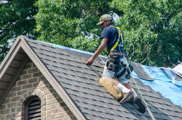 Best Gutter Installation and Roofing  in Woodland Heights, PA